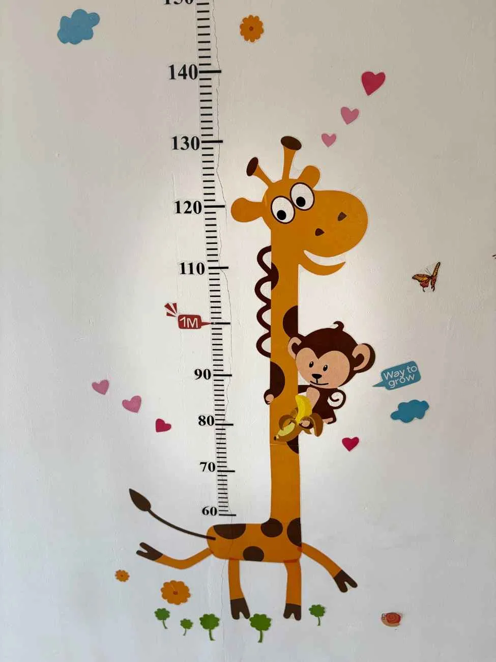 Shine dentistry height check